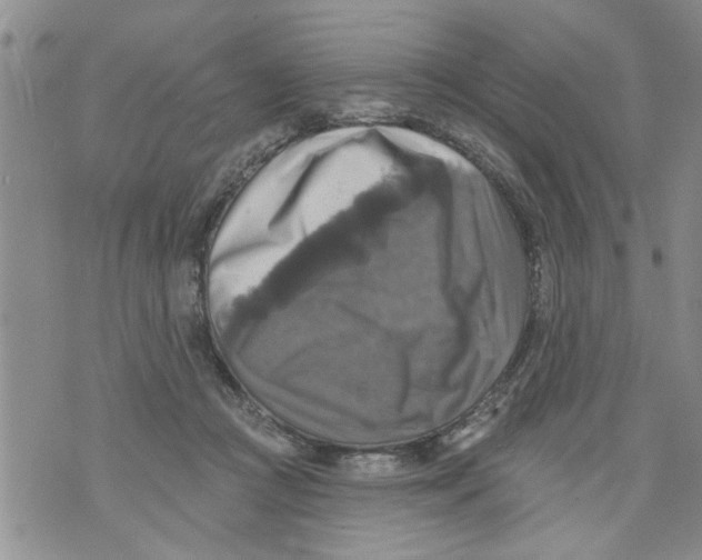 X0000073890361200609082129