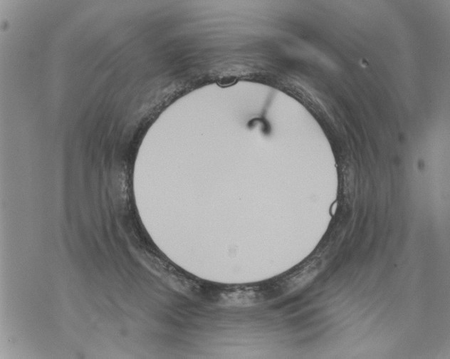 X0000073890362200609082129