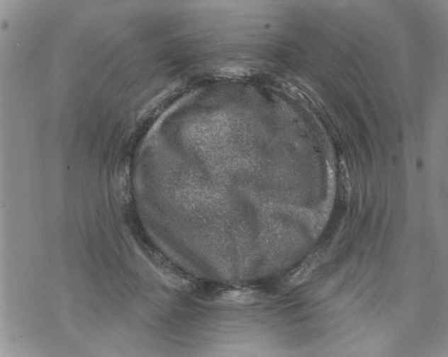 X0000073890364200609082129