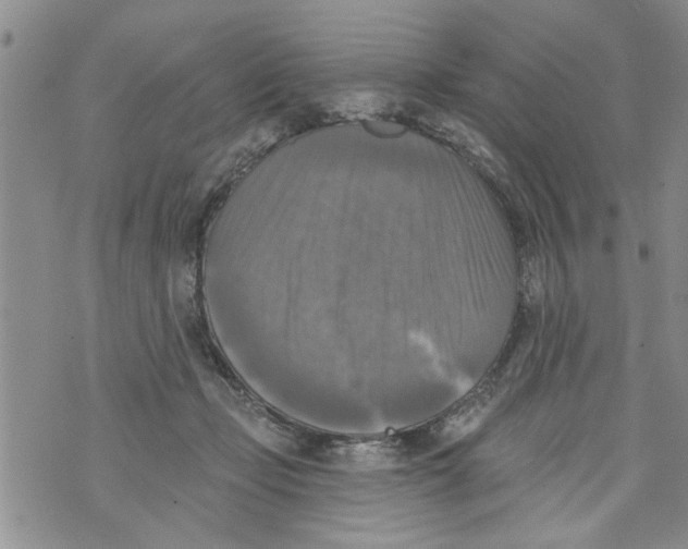 X0000073890365200609082129