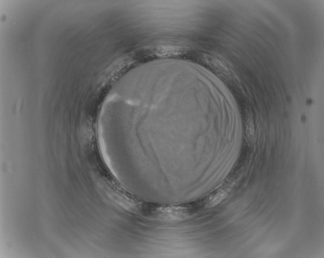 X0000073890367200609082129