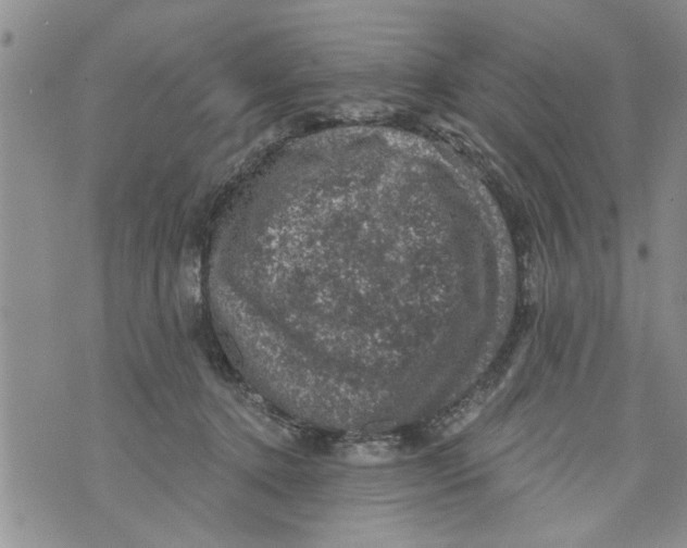 X0000073890368200609082129