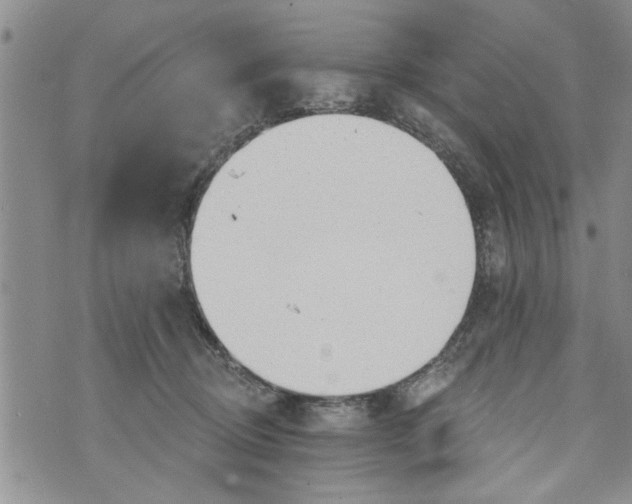 X0000073890370200609082129