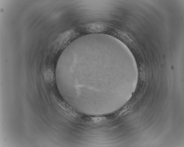 X0000073890371200609082129