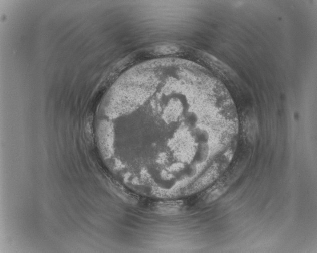 X0000073890373200609082129