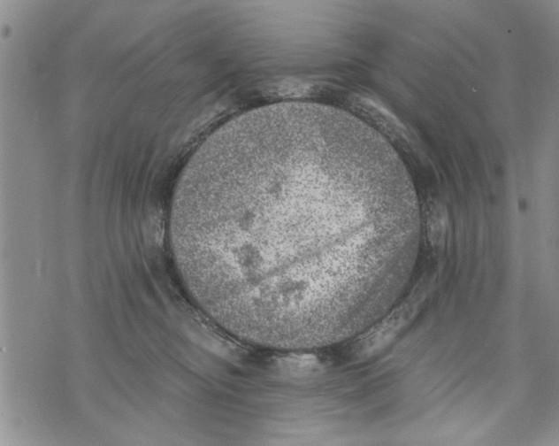 X0000073890374200609082129