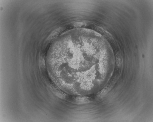 X0000073890375200609082129