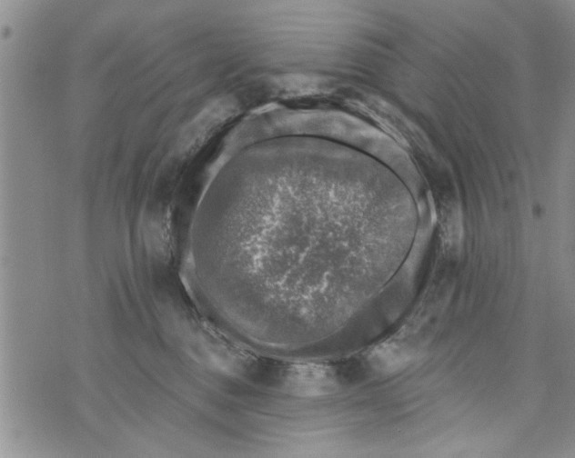 X0000073890376200609082129