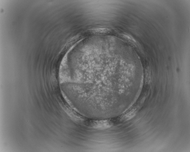 X0000073890377200609082129