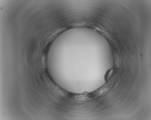 X0000073890378200609082129