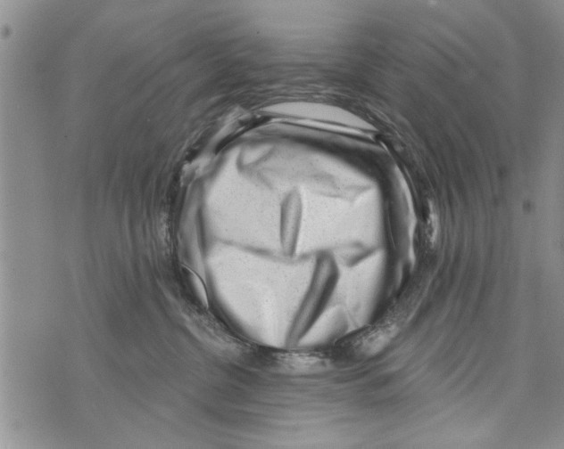 X0000073890380200609082129