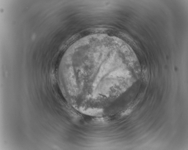 X0000073890381200609082129