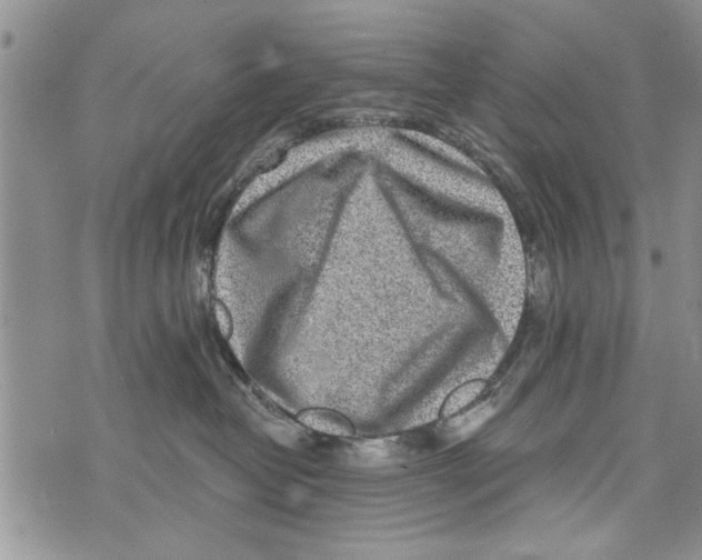 X0000073890382200609082129