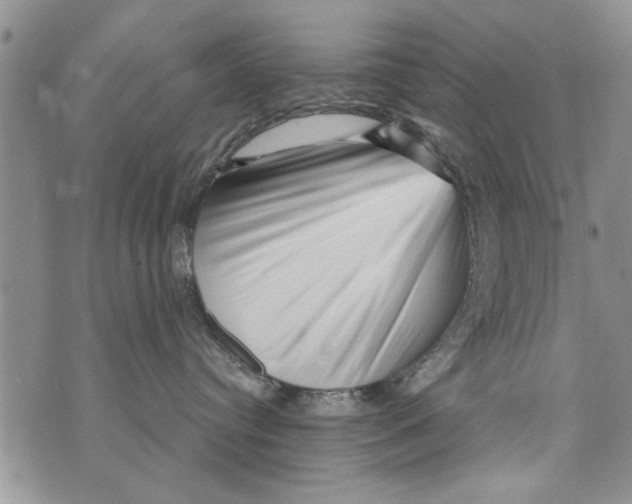 X0000073890384200609082129