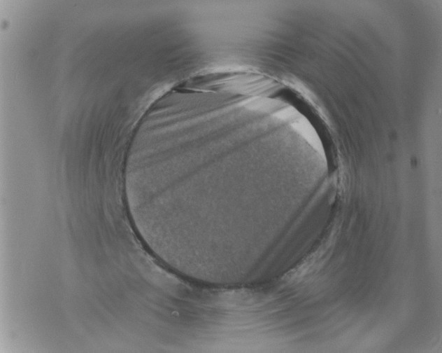 X0000073890385200609082128