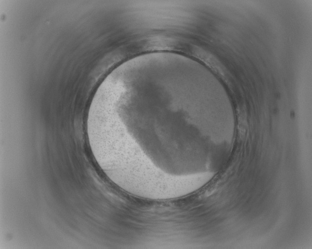 X0000073890386200609082128