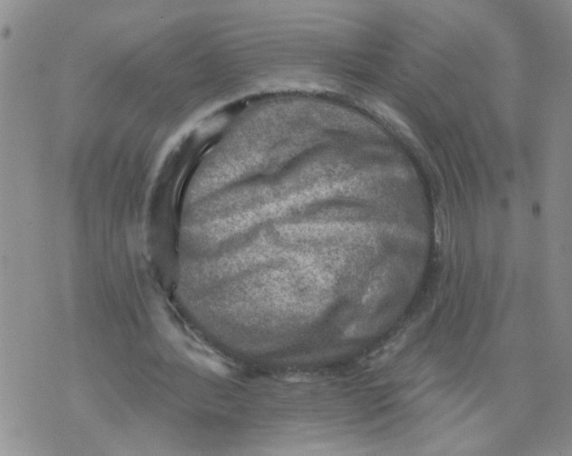 X0000073890388200609082128