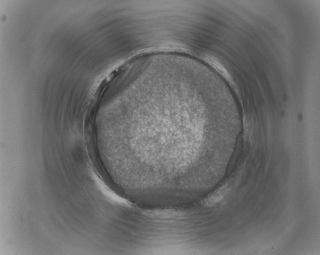 X0000073890389200609082128