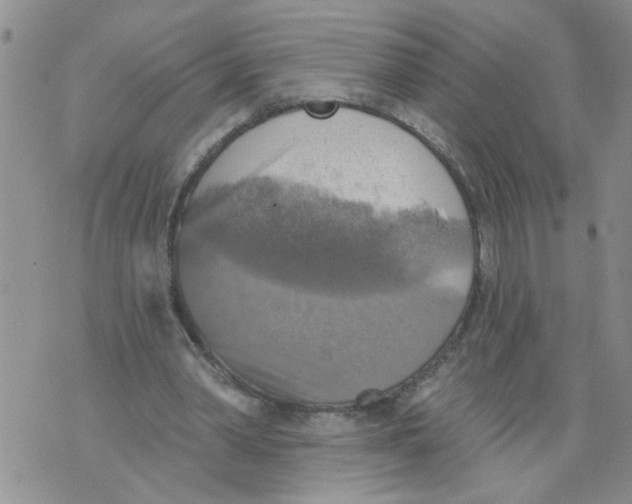 X0000073890390200609082128