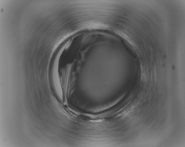 X0000073890391200609082128