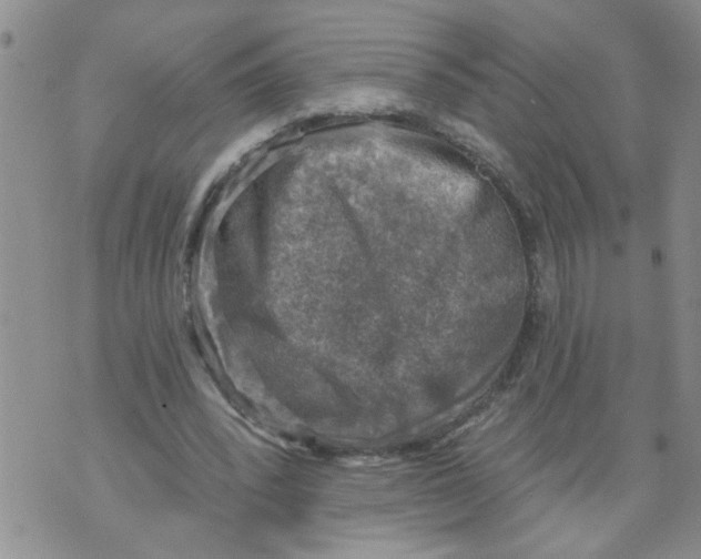 X0000073890392200609082128