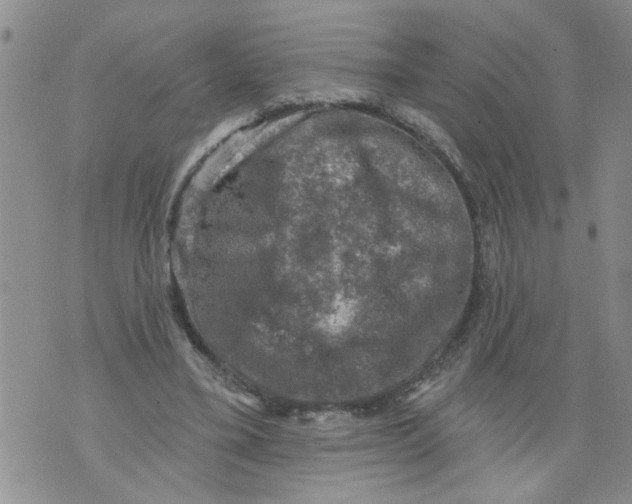 X0000073890395200609082128