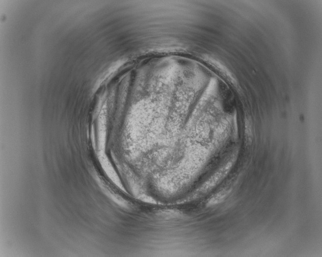 X0000073890397200609082128