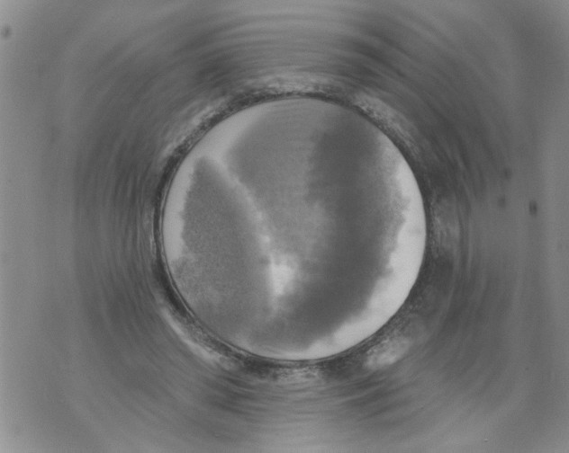 X0000073890398200609082128