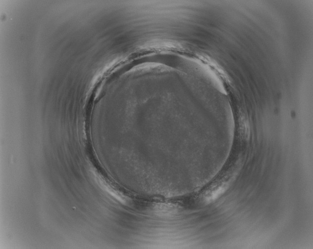 X0000073890399200609082128