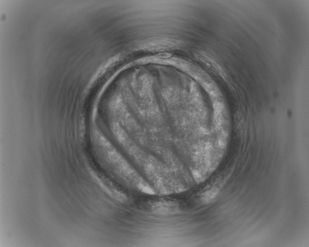 X0000073890400200609082128