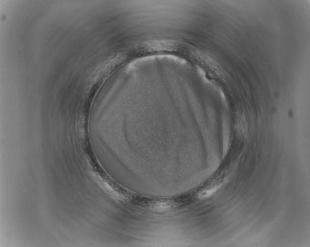 X0000073890402200609082128