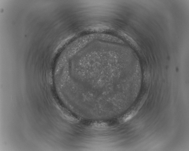 X0000073890403200609082128