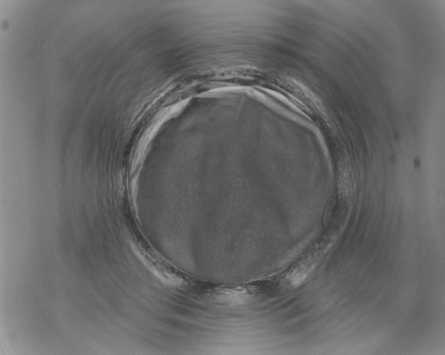 X0000073890405200609082128