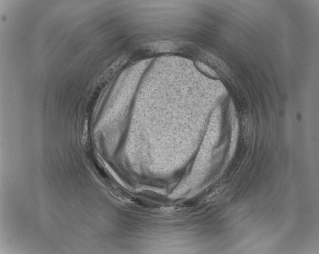 X0000073890406200609082128