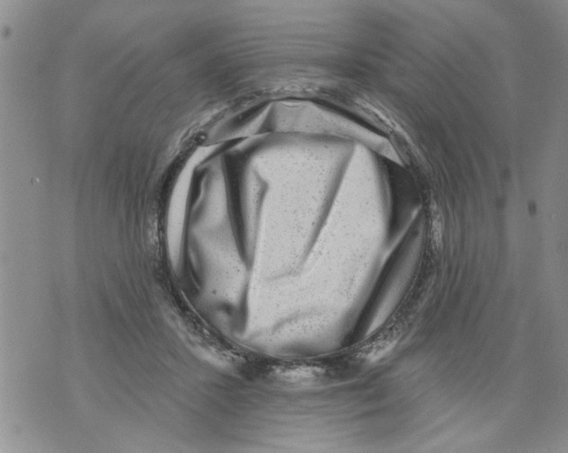 X0000073890407200609082128