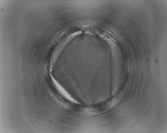 X0000073890408200609082128