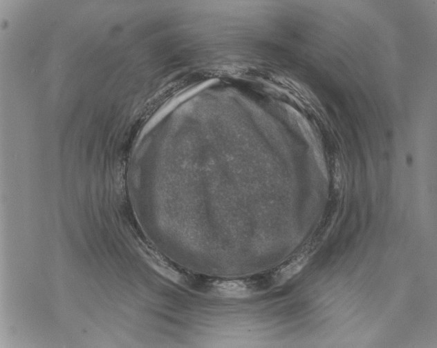 X0000073890409200609082128