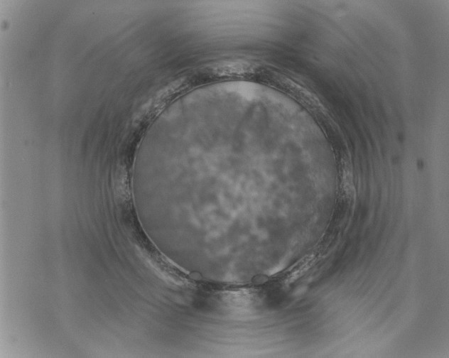 X0000073890411200609082128