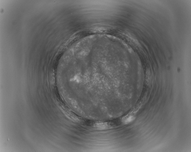 X0000073890413200609082128