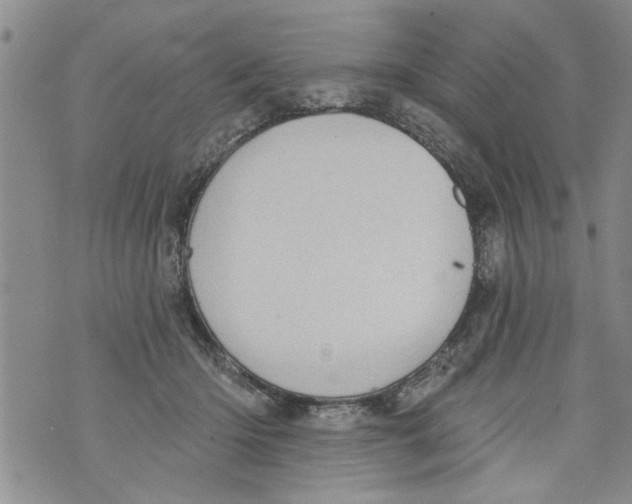 X0000073890414200609082128