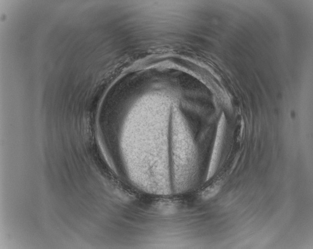 X0000073890416200609082128