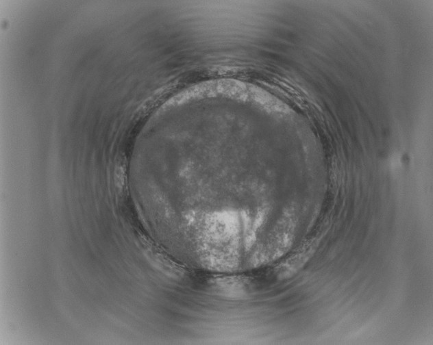 X0000073890417200609082128