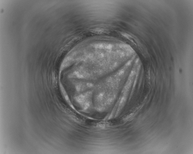 X0000073890420200609082128