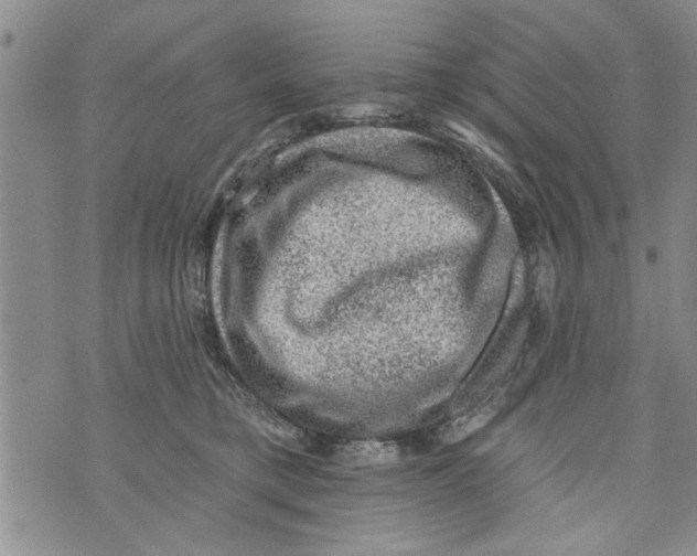 X0000073890421200609082128