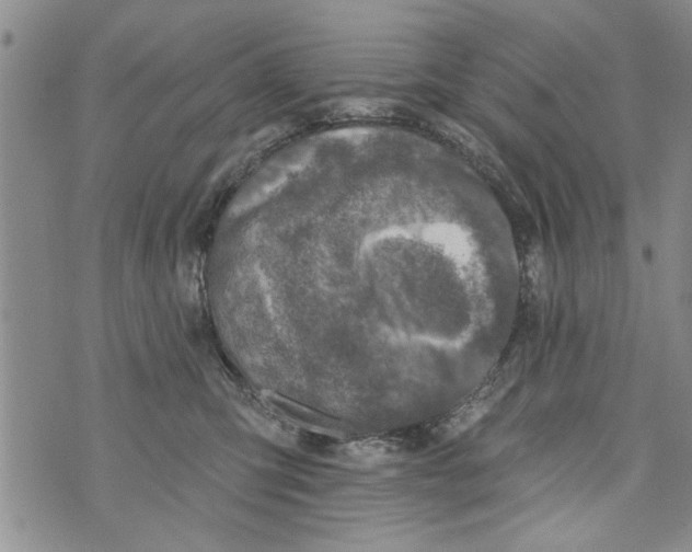 X0000073890423200609082128