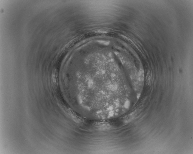 X0000073890424200609082128