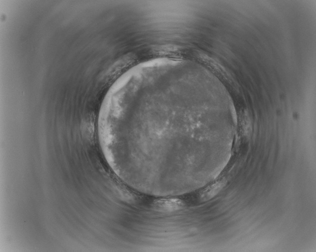 X0000073890427200609082127