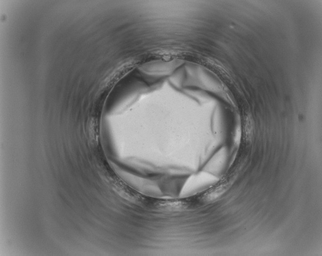 X0000073890428200609082127