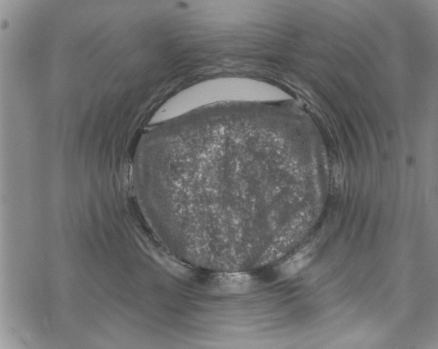 X0000073890429200609082127