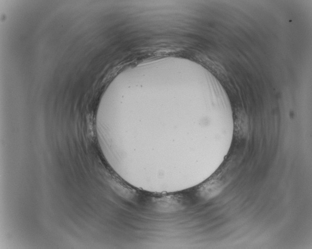 X0000073890430200609082127